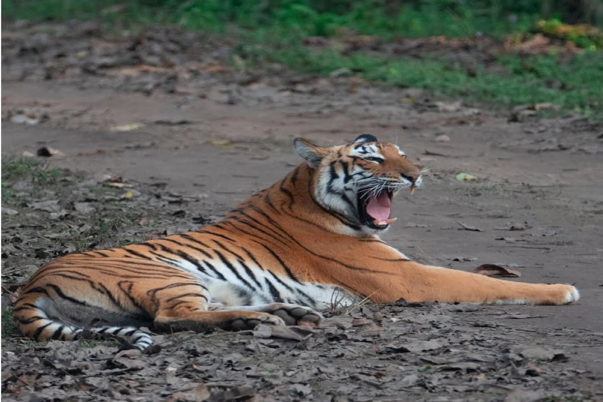 Uttarakhand Tour Gallery